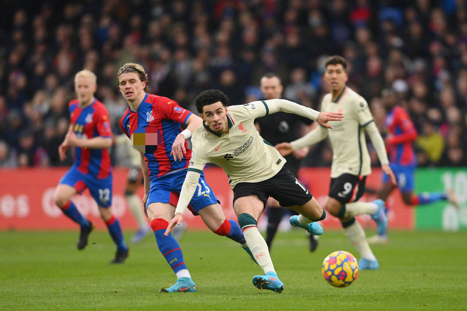 造了坚实的 造了坚实的